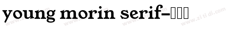 young morin serif字体转换